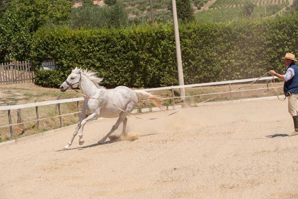 Podere Il Poggiolo Pontassieve Bagian luar foto