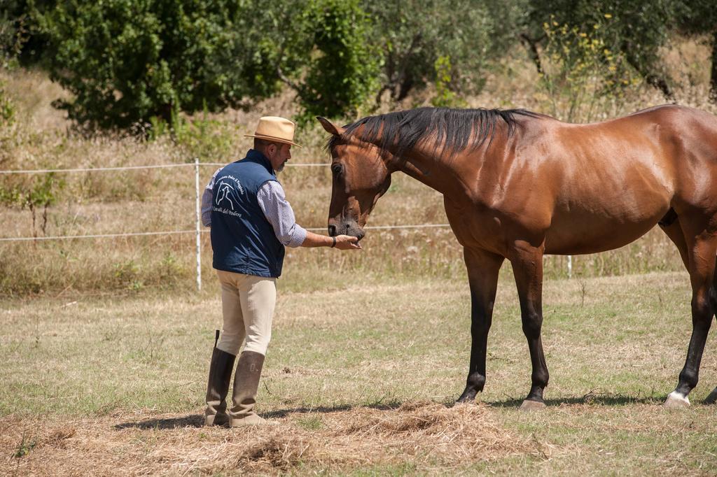 Podere Il Poggiolo Pontassieve Bagian luar foto