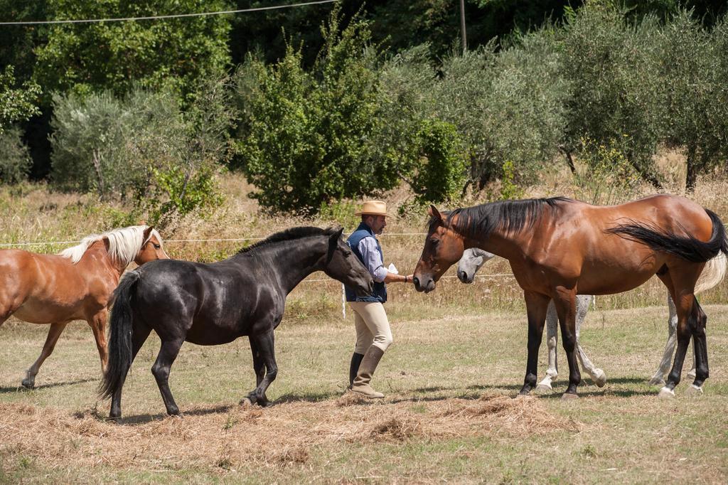 Podere Il Poggiolo Pontassieve Bagian luar foto